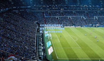 足彩网品牌|尤维斯塔比亚官方宣布泽罗利租借加盟，赛季末冲刺添强援