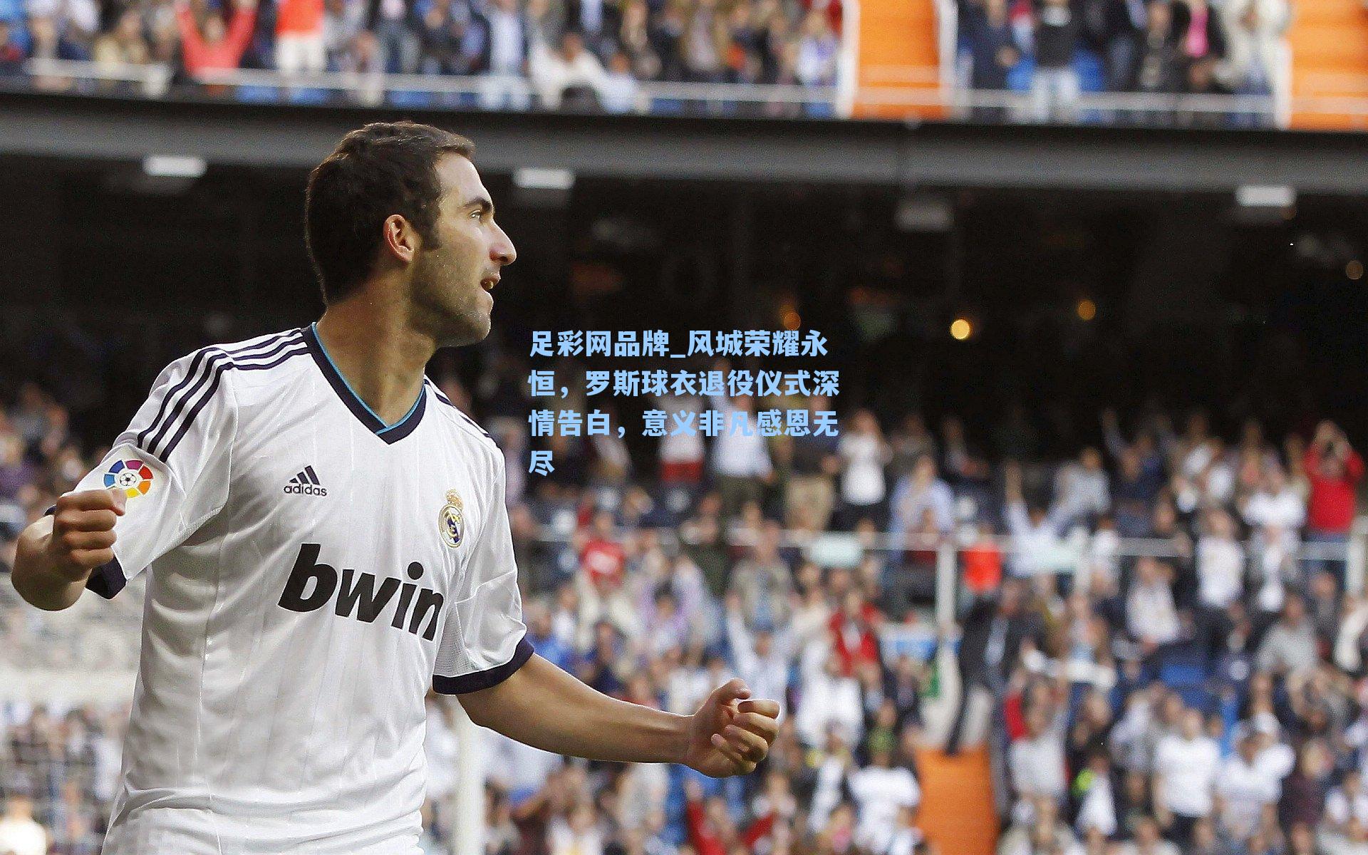 风城荣耀永恒,罗斯球衣退役仪式深情告白,意义非凡感恩无尽