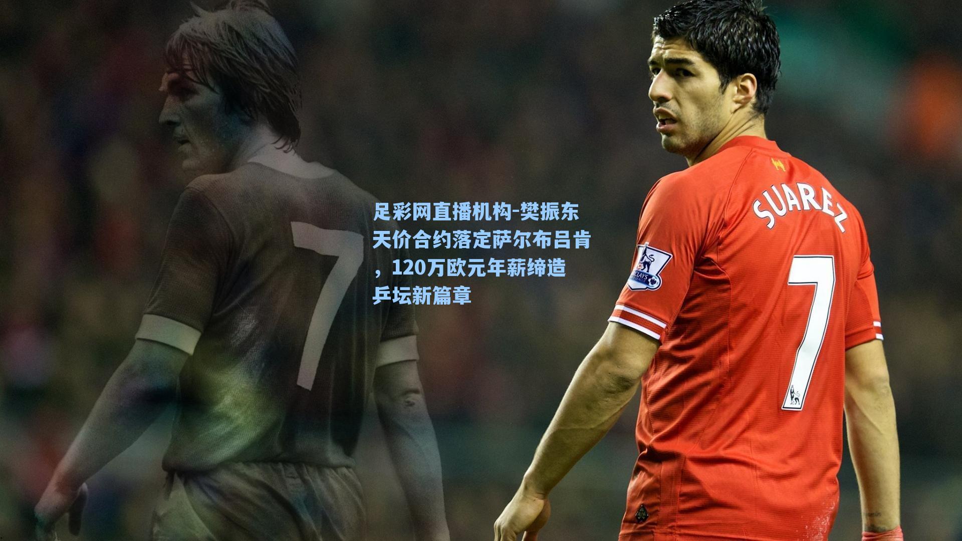 樊振东天价合约落定萨尔布吕肯，120万欧元年薪缔造乒坛新篇章