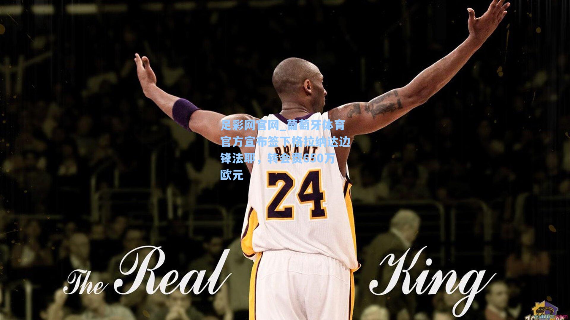 葡萄牙体育官方宣布签下格拉纳达边锋法耶，转会费650万欧元